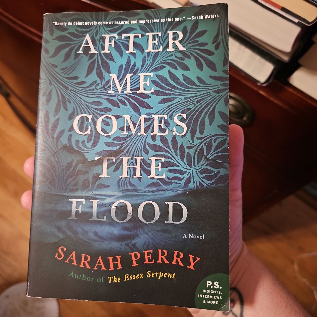 After Me Comes the Flood