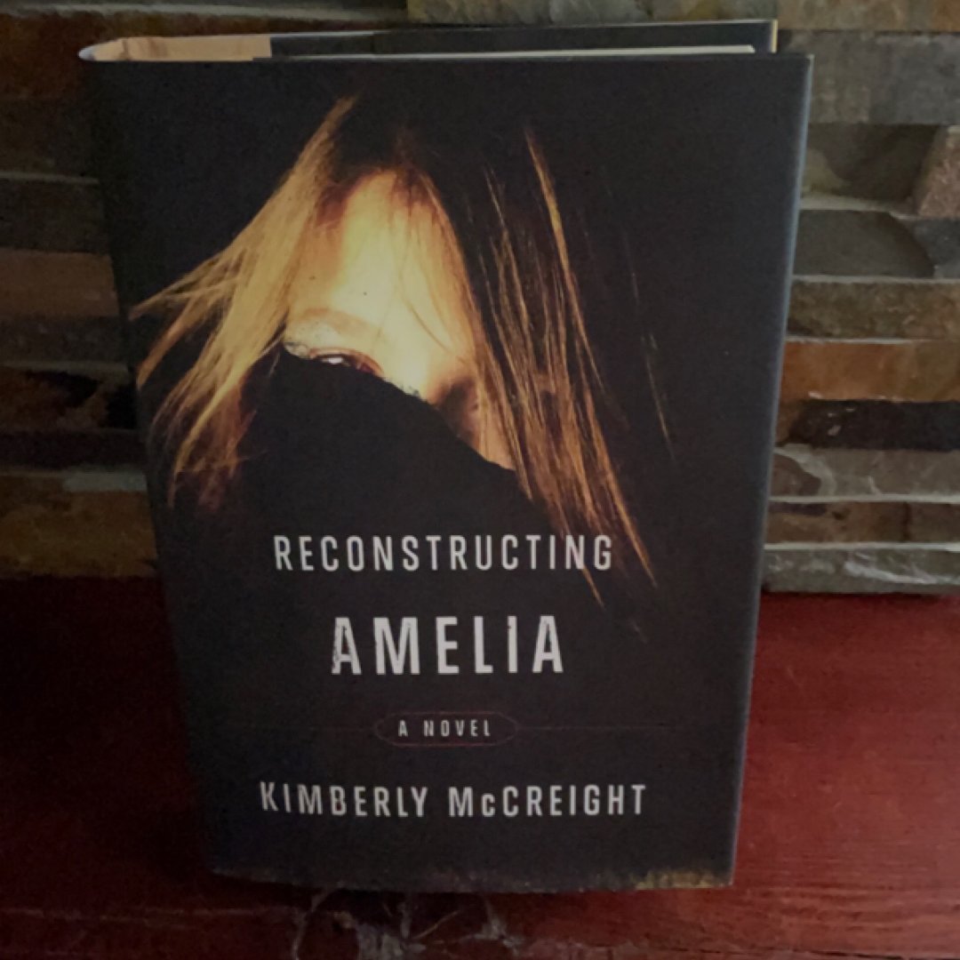 Reconstructing Amelia