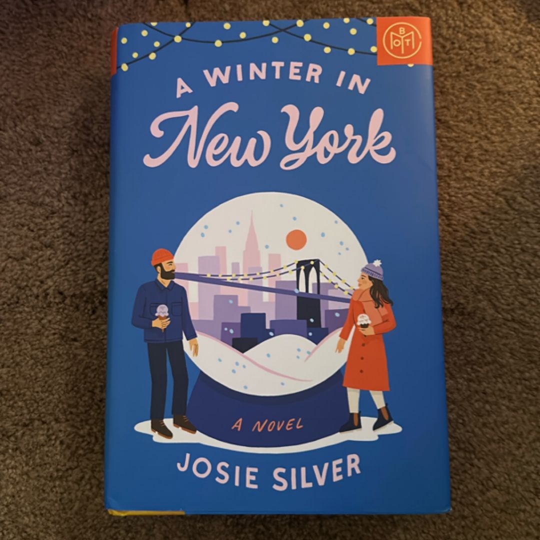 A Winter in New York