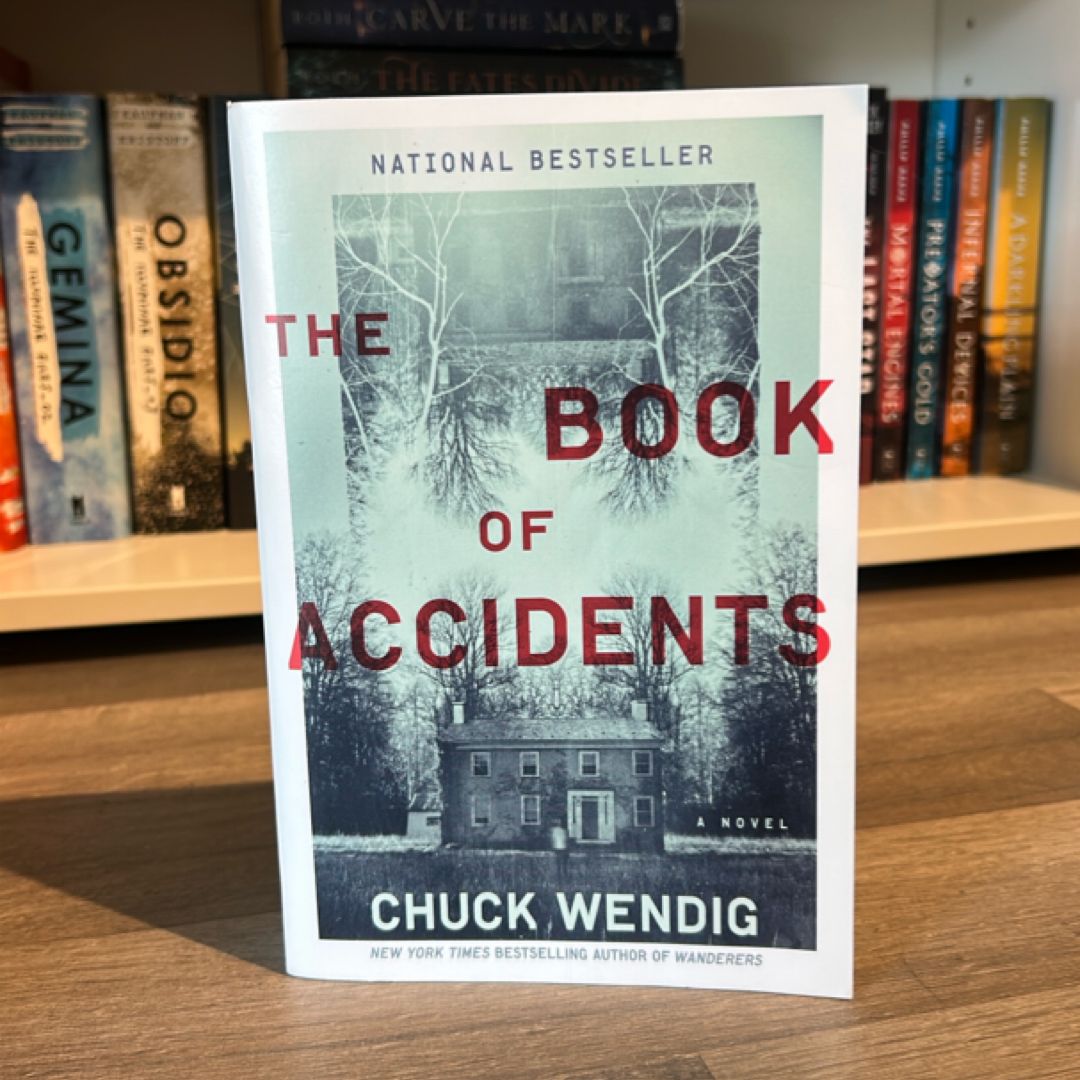The Book of Accidents