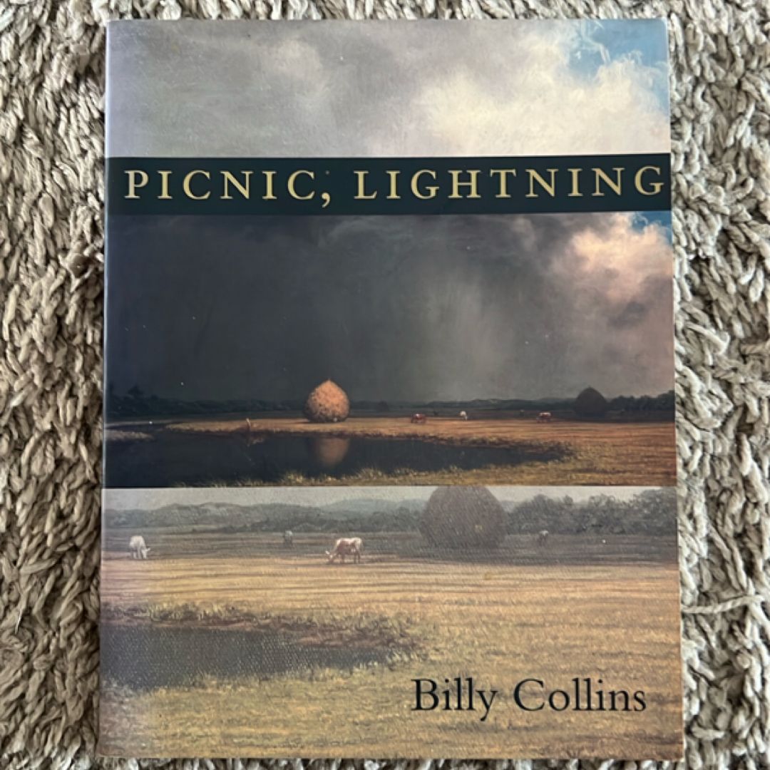 Picnic, Lightning