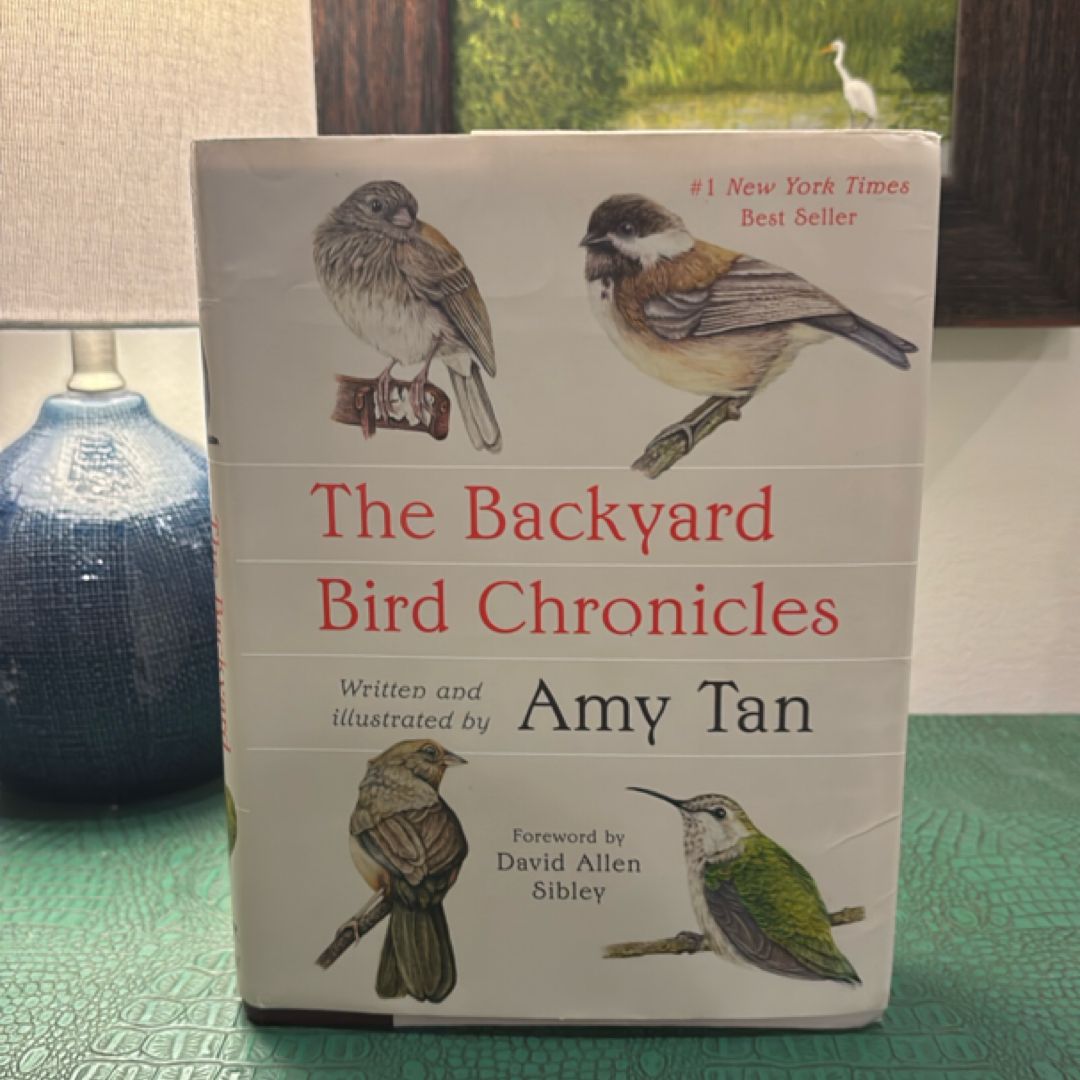 The Backyard Bird Chronicles