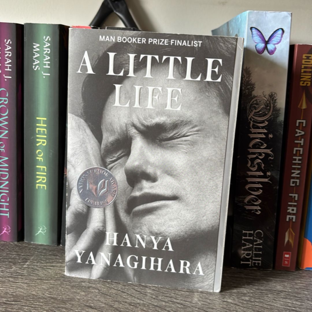 A Little Life