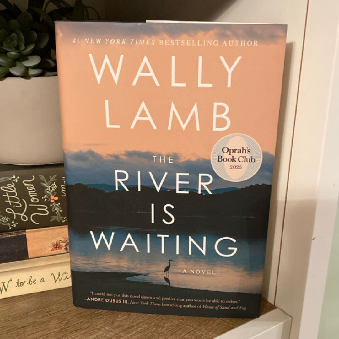 The River Is Waiting (Oprah's Book Club)