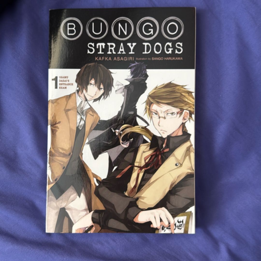 Bungo Stray Dogs, Vol. 1 (light Novel)