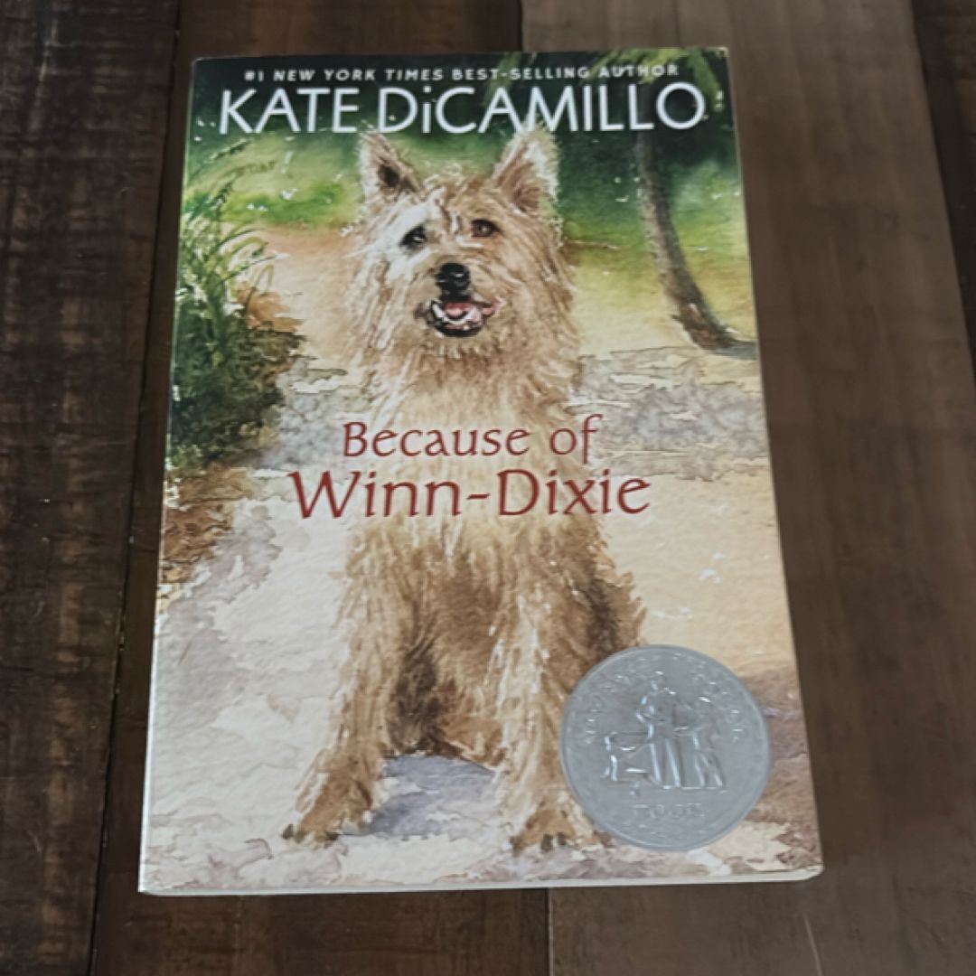 Because of Winn-Dixie