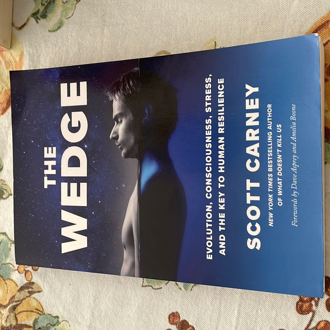 The Wedge