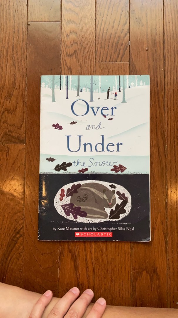 Over and under the Snow