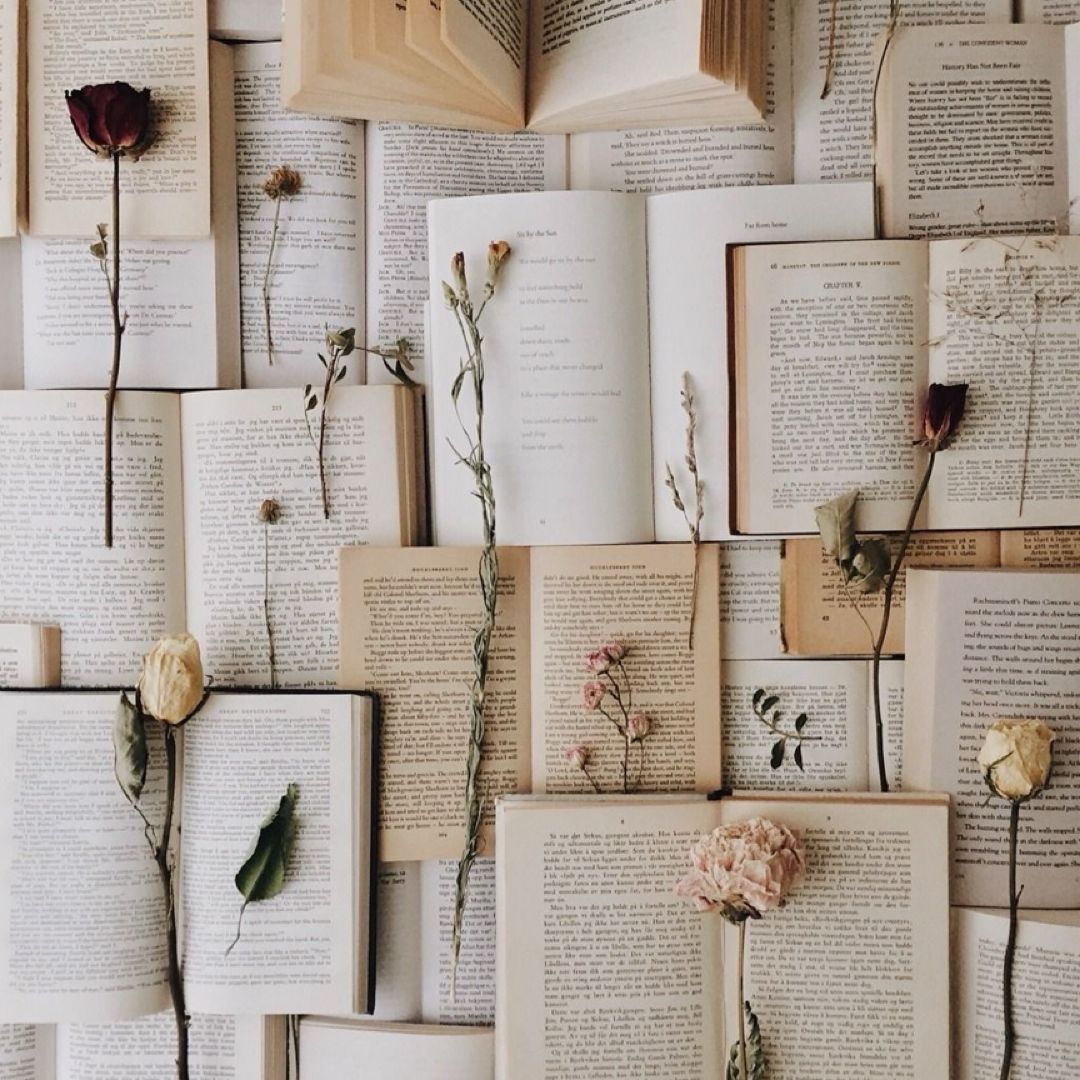 Ashley’s Book Shop