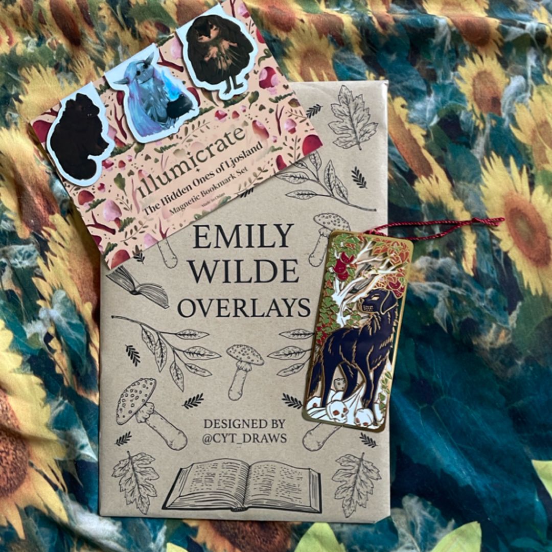 Emily Wilde items set