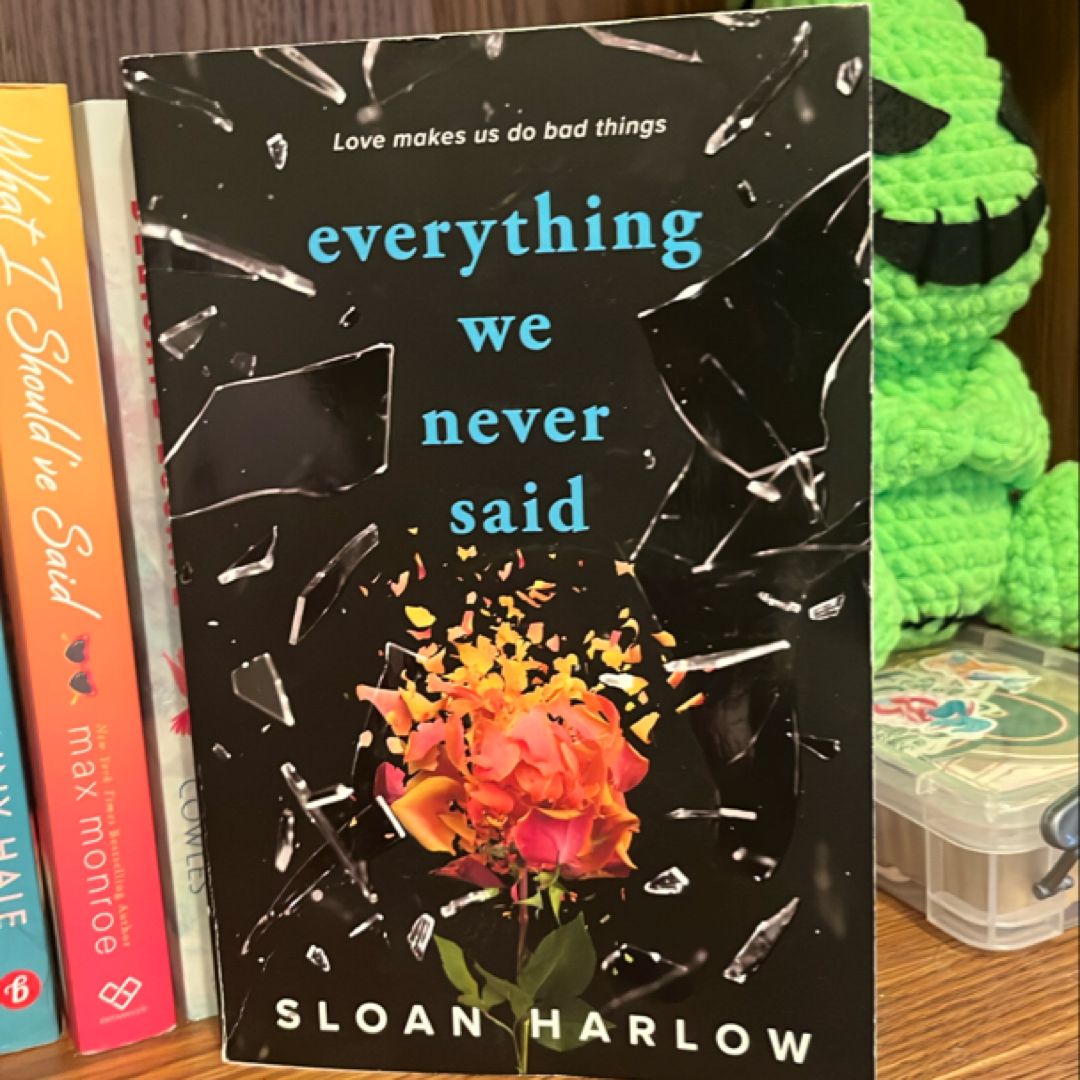 Everything We Never Said