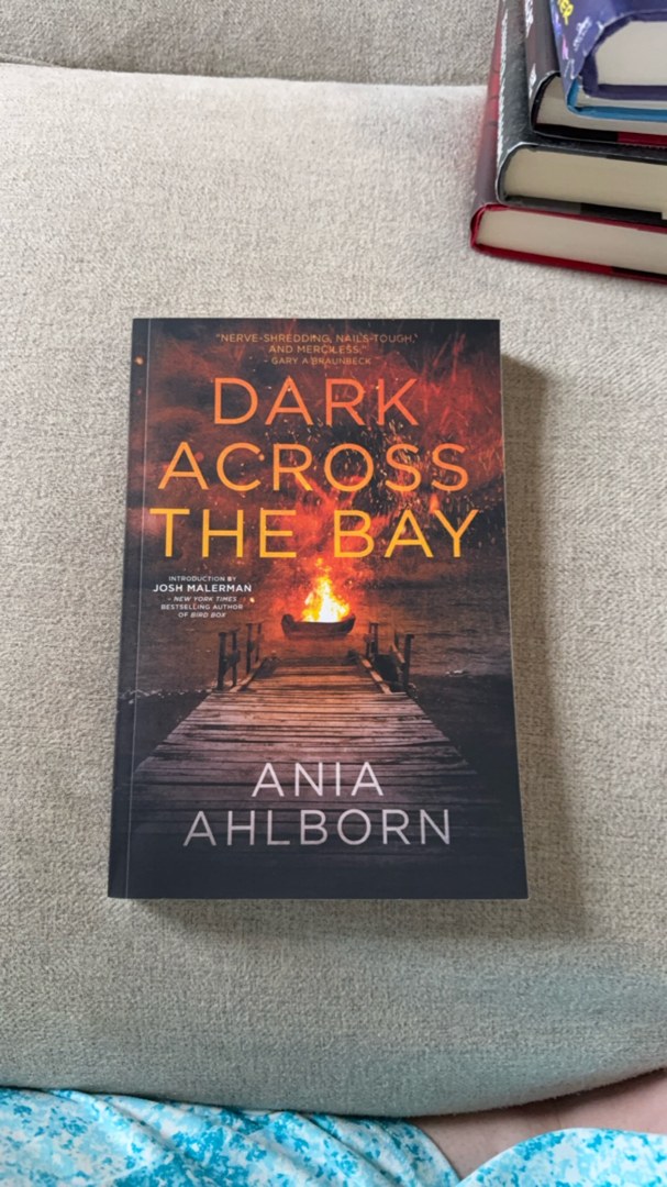 Dark Across the Bay
