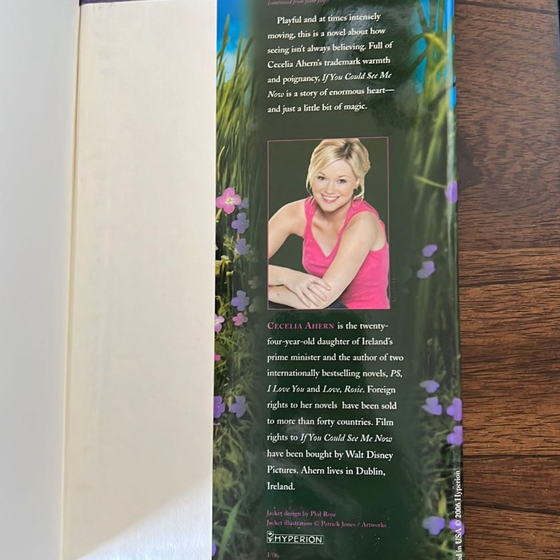 If You Could See Me Now