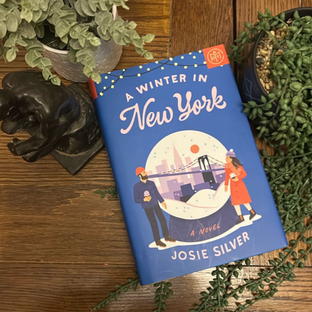 A Winter in New York