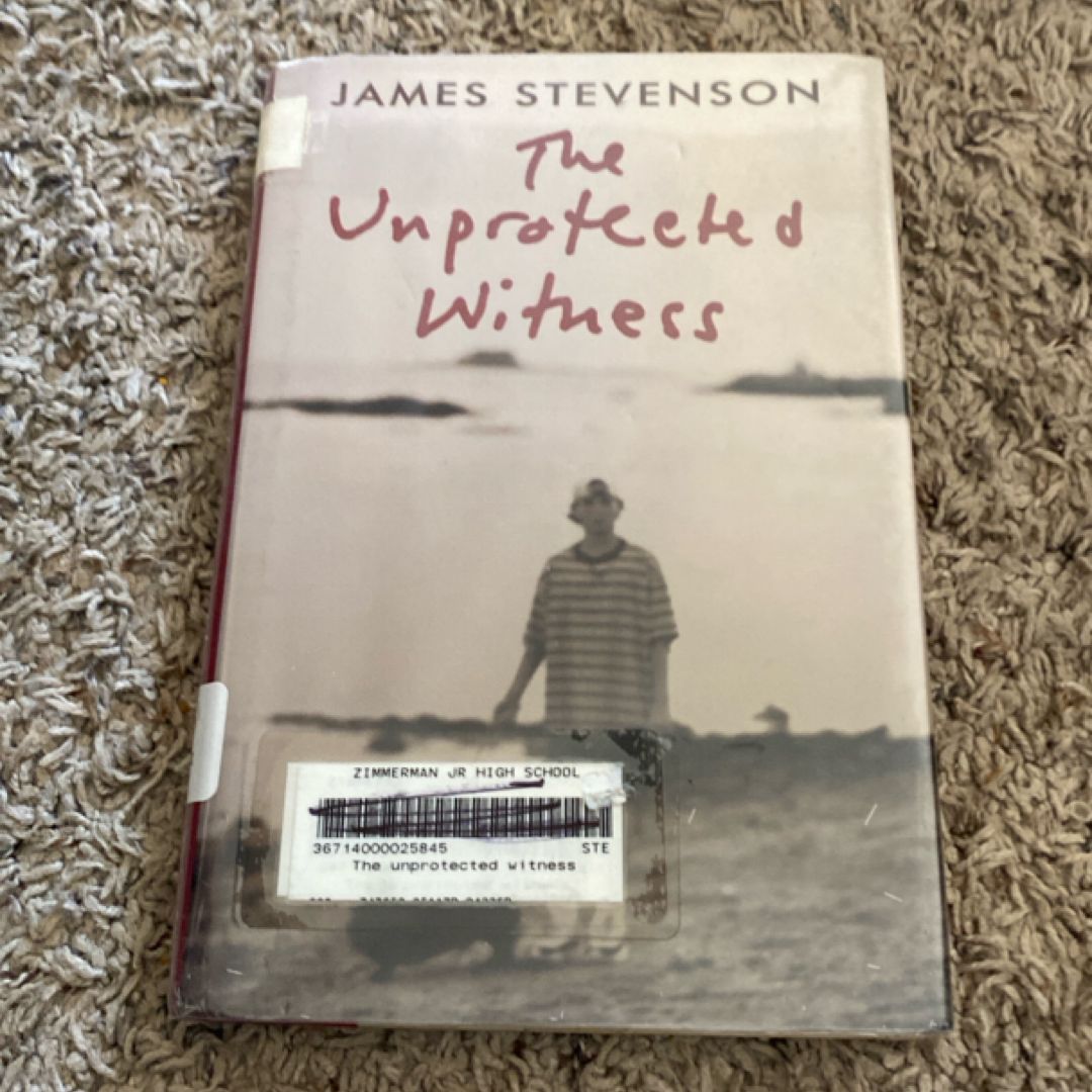 The Unprotected Witness