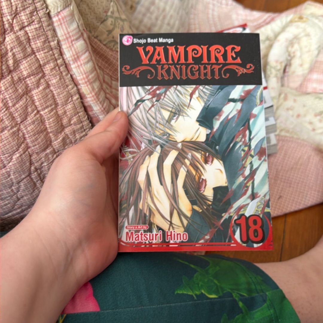 Vampire Knight, Vol. 18