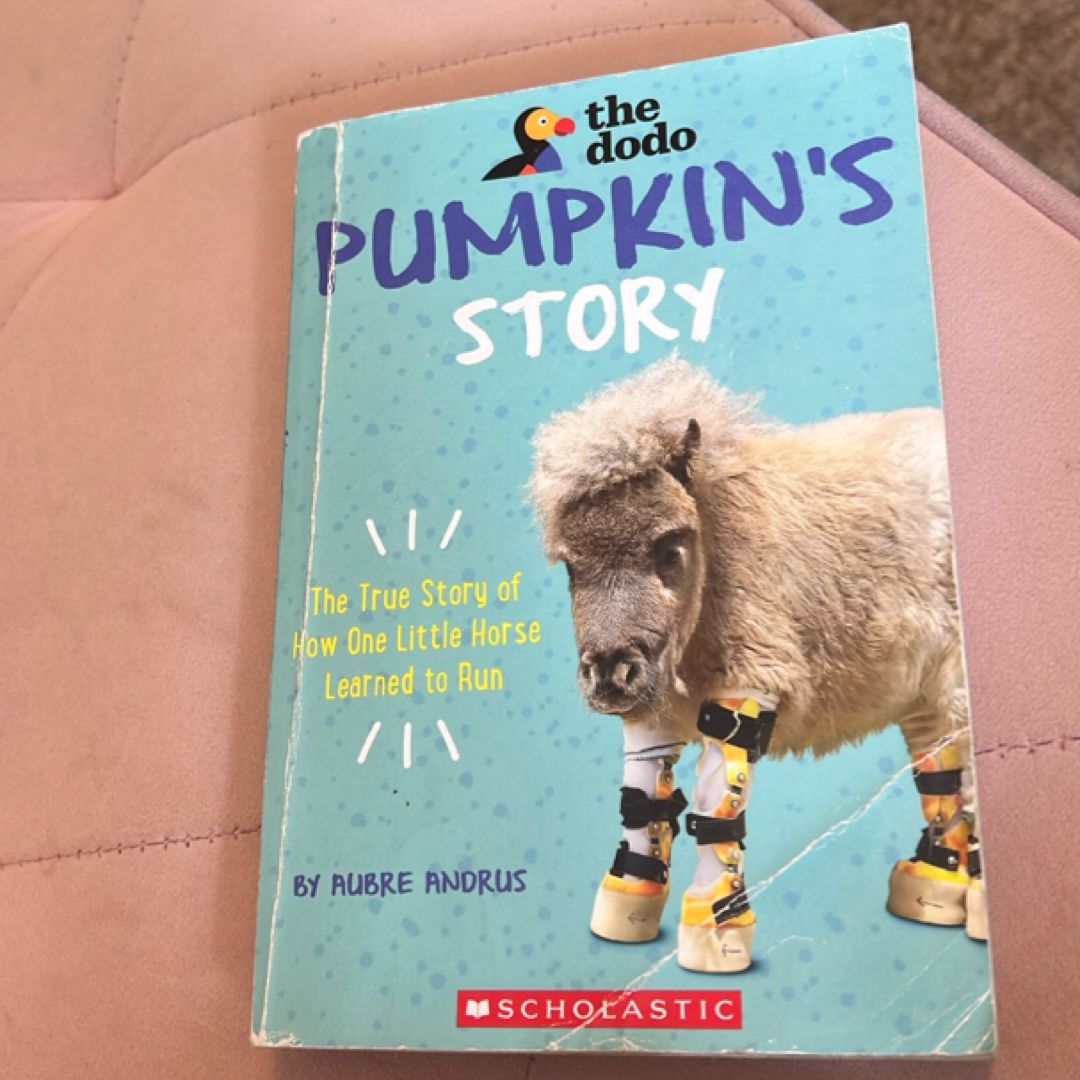 Pumpkins Story
