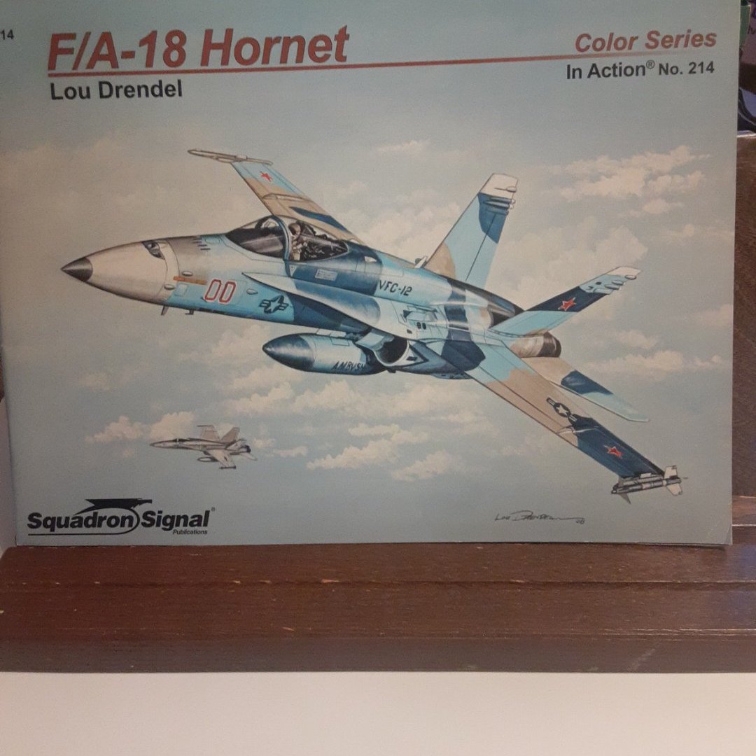 F/A-18 Hornet in Action - Aircraft Color Series No. 214