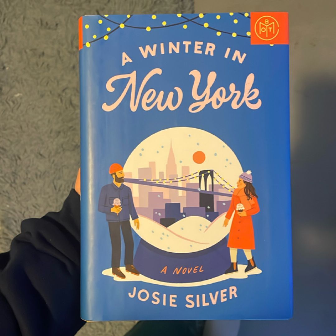 A Winter in New York