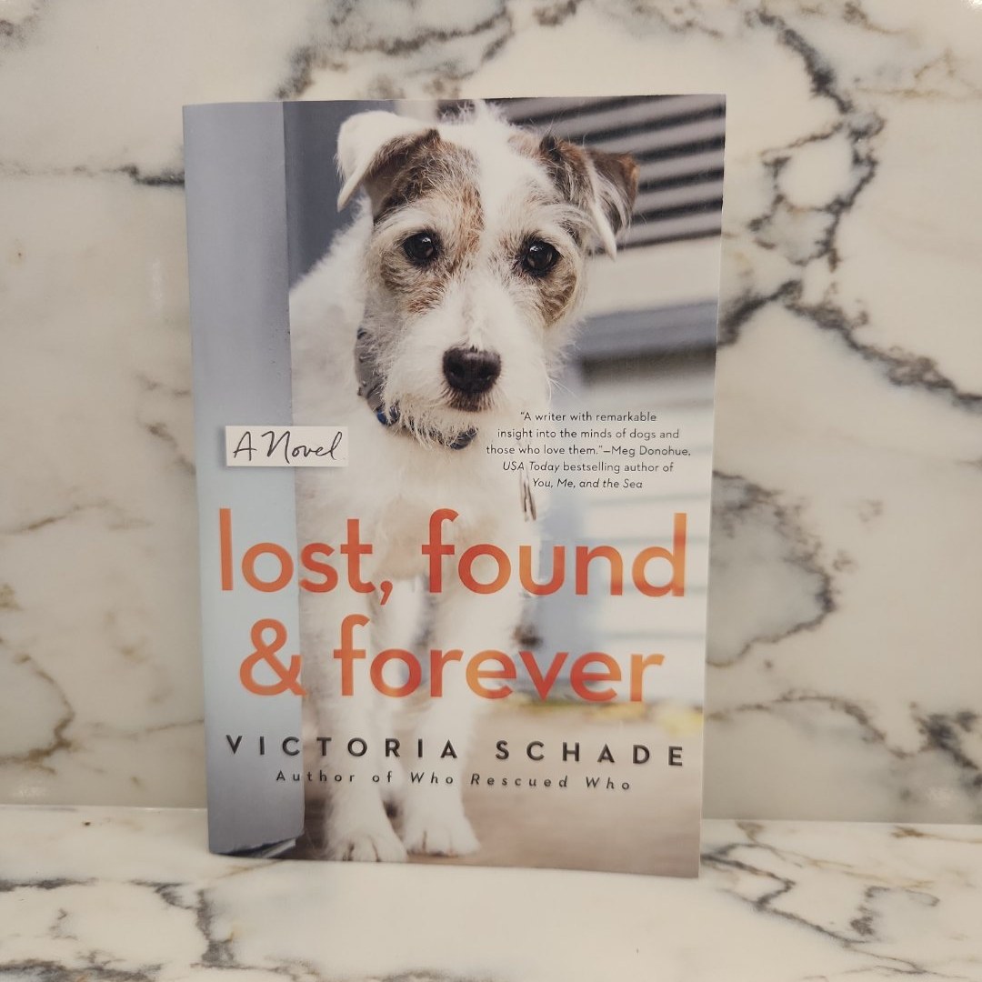Lost, Found, and Forever