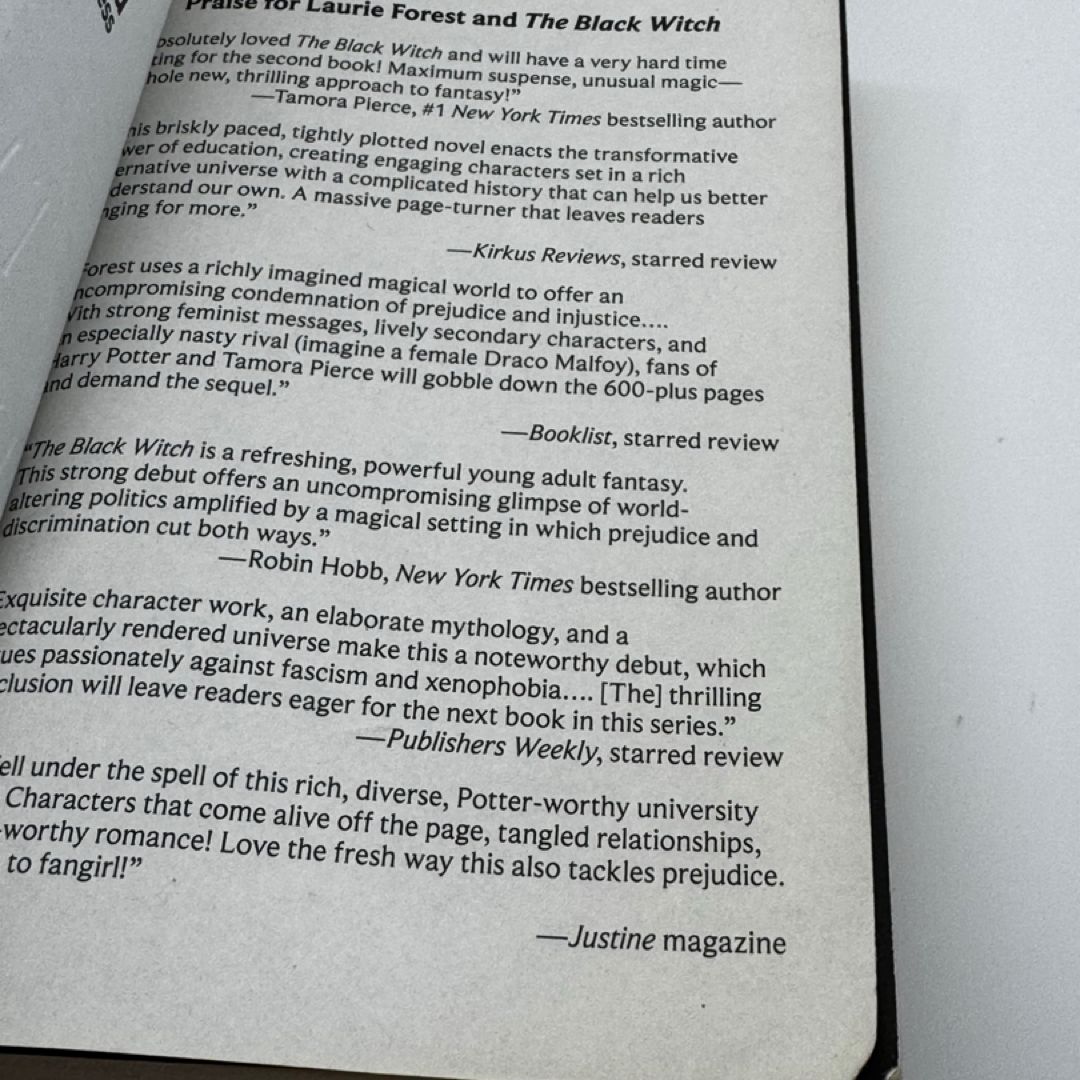 The Rebel Mages by Laurie Forest