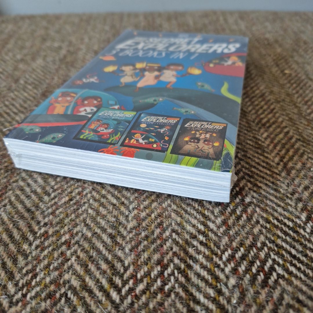 The Secret Explorers by SJ King