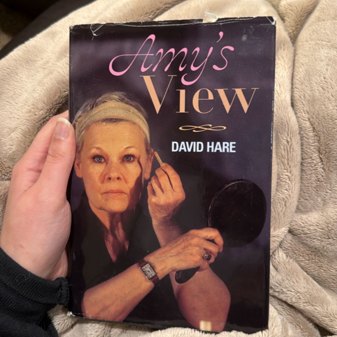 Amy’s View