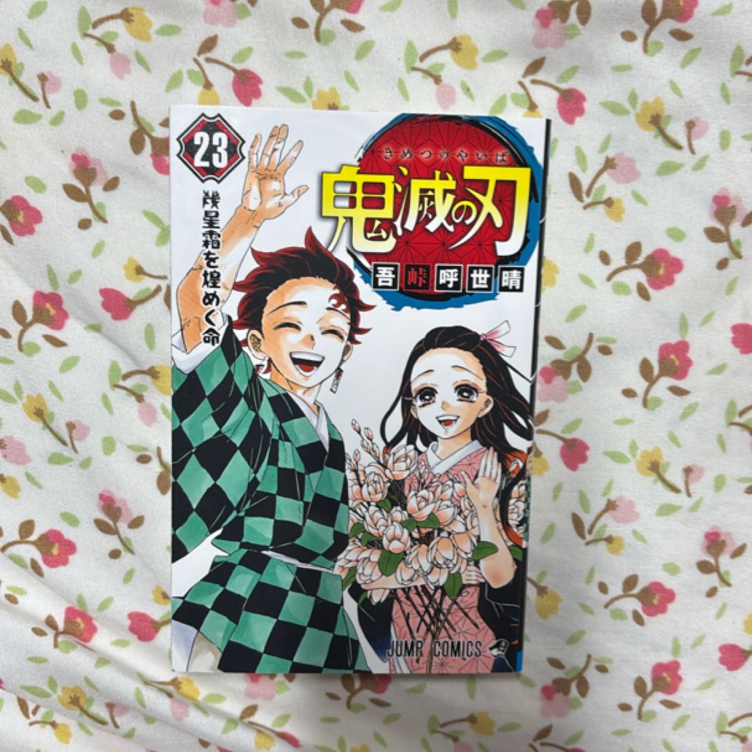 Kimetsu no Yaiba Vol. 23 (Japanese edition)
