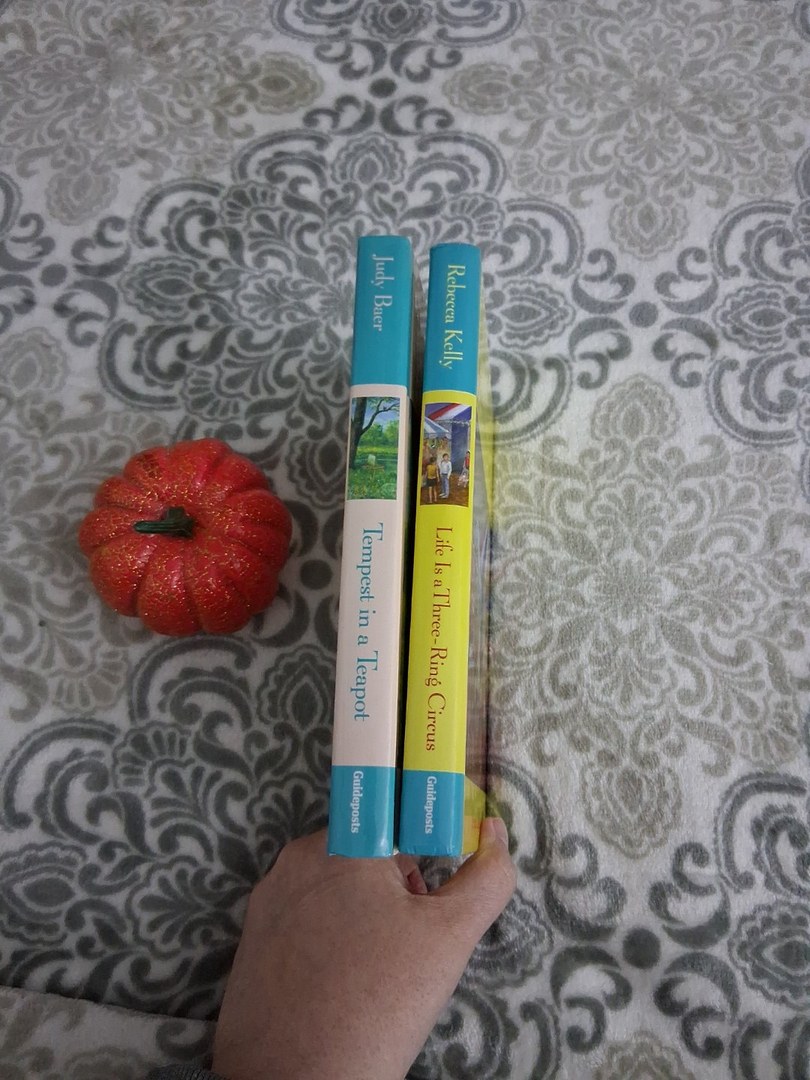 Tales from Grace Chapel Inn: Books 17-18