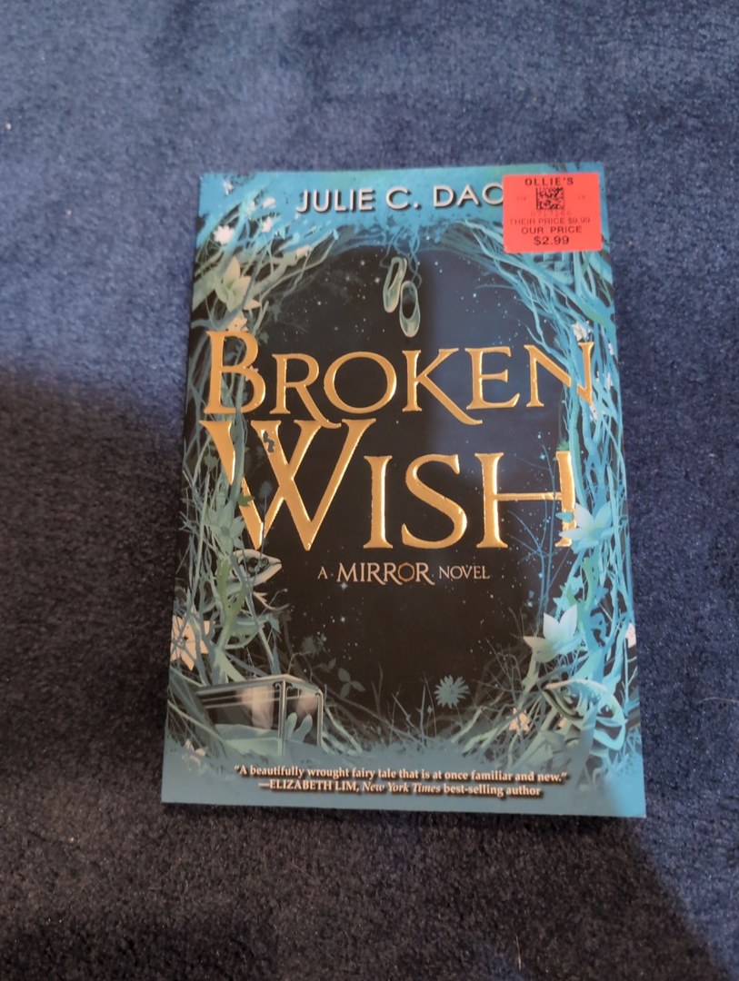 The Mirror Broken Wish