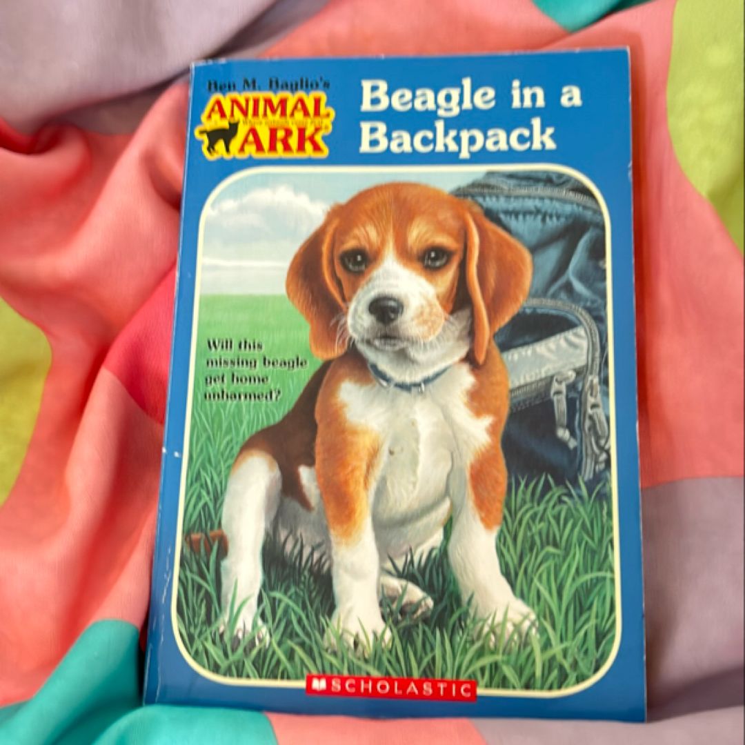 Beagle in a Backpack