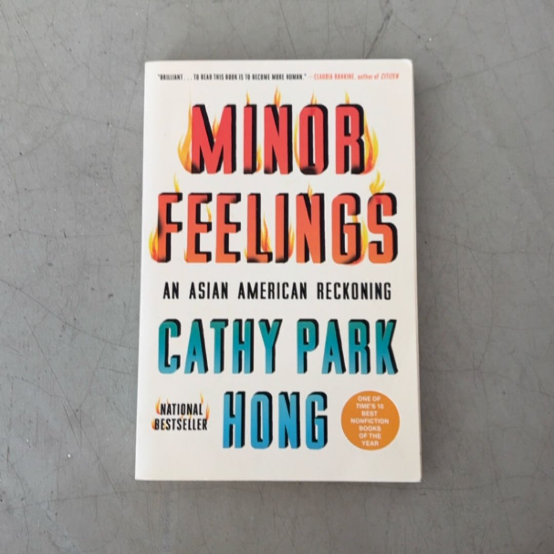 Minor Feelings