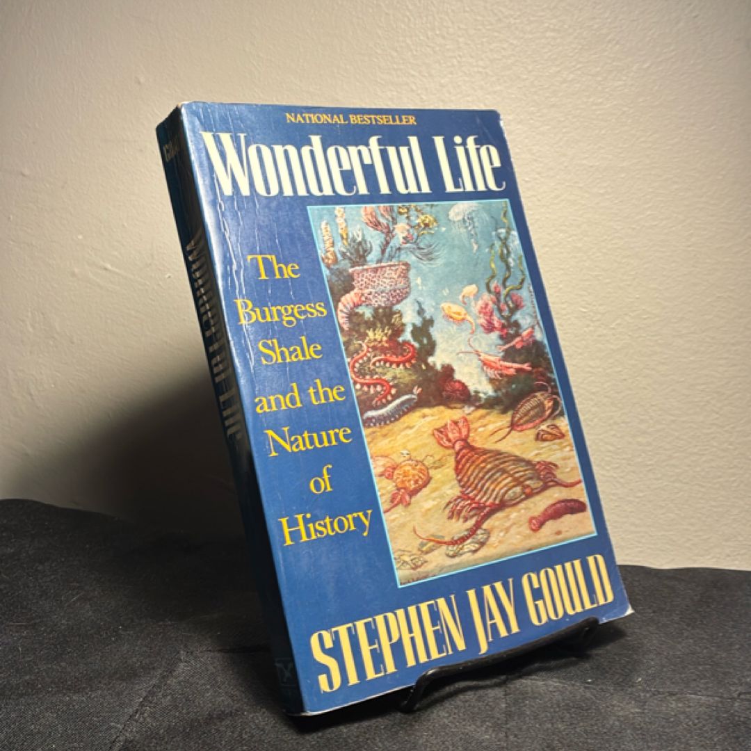 Wonderful Life