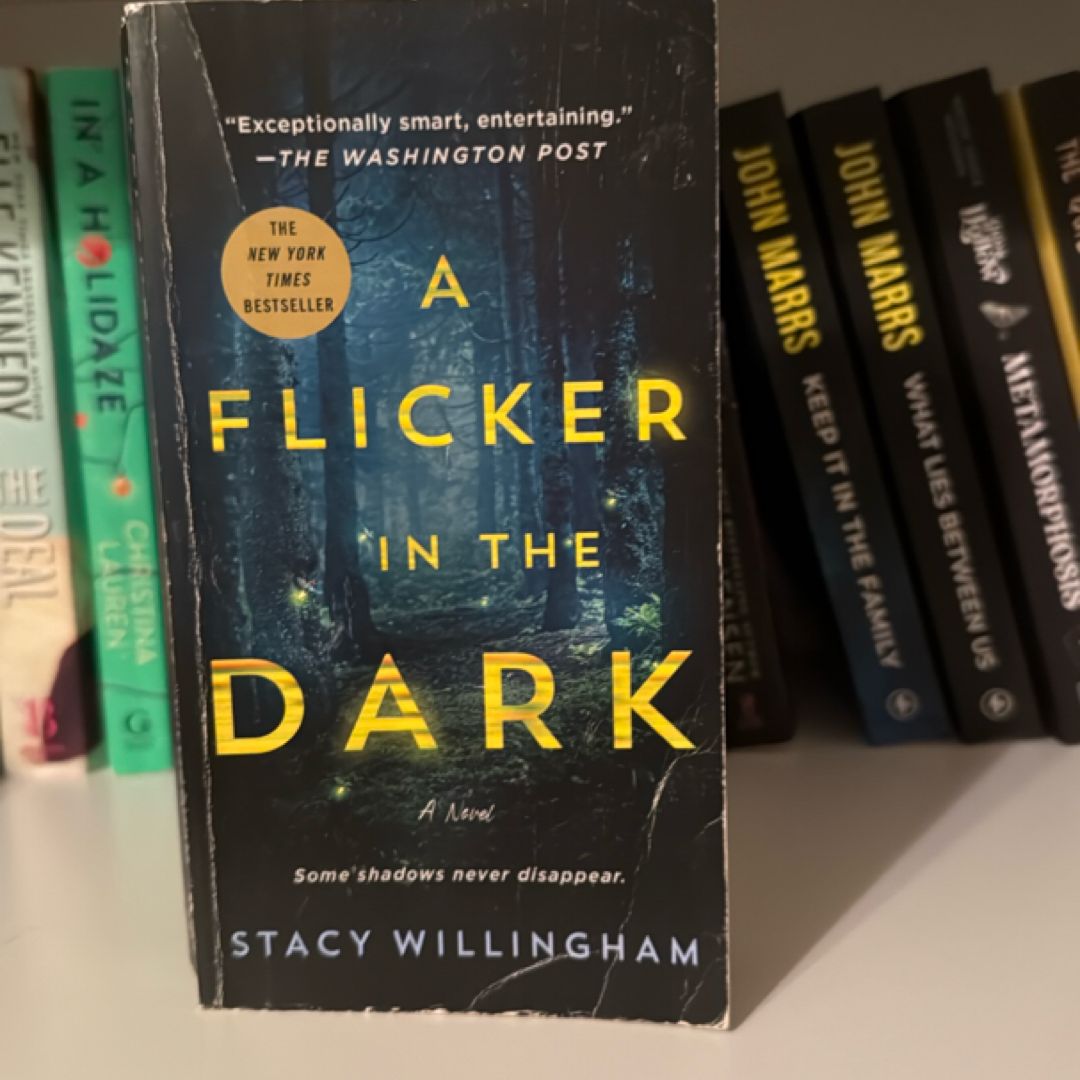 A Flicker in the Dark