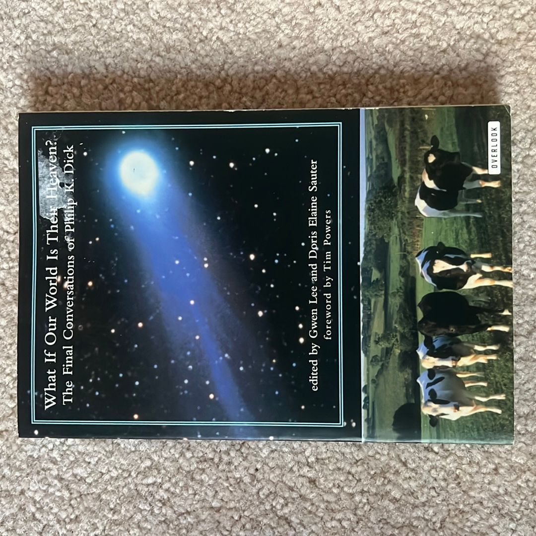 What If Our World Is Their Heaven