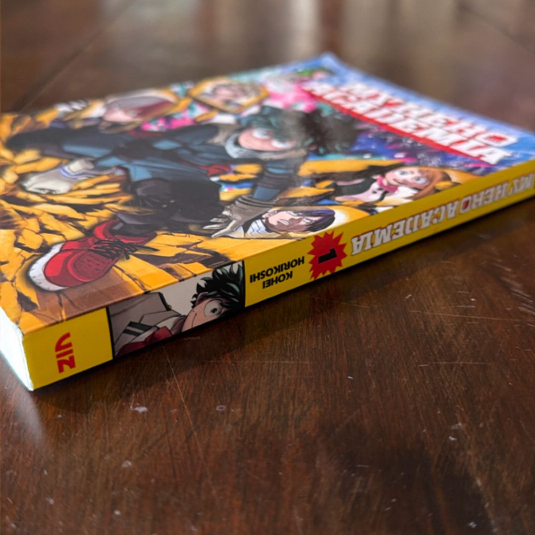 My Hero Academia, Vol. 1