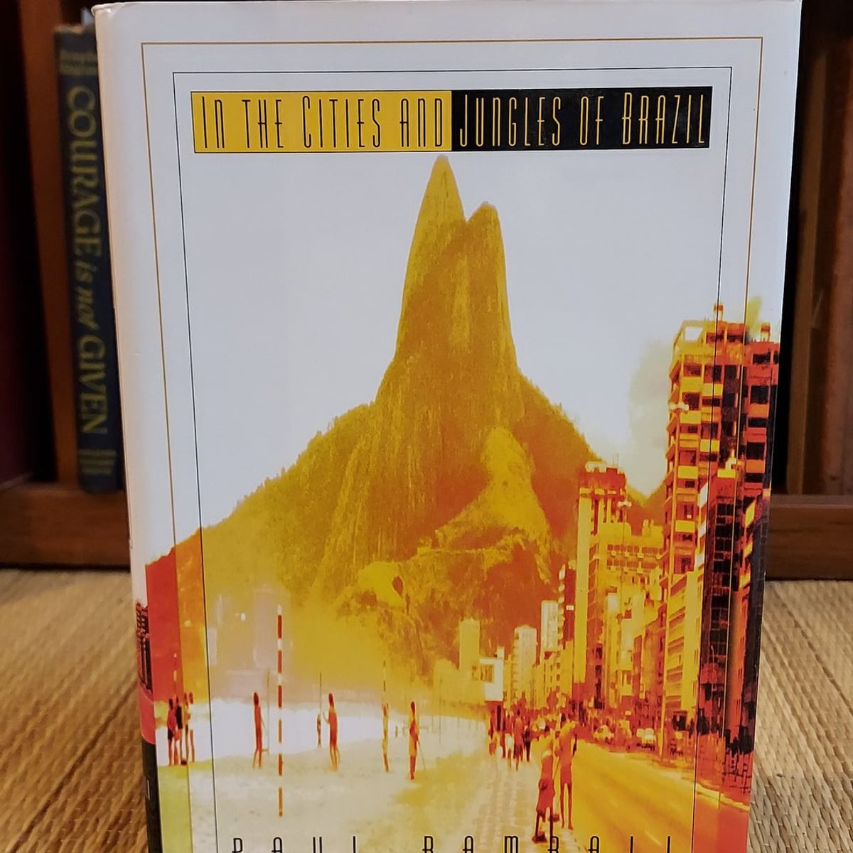 In the Cities and Jungles of Brazil by Paul Rambali