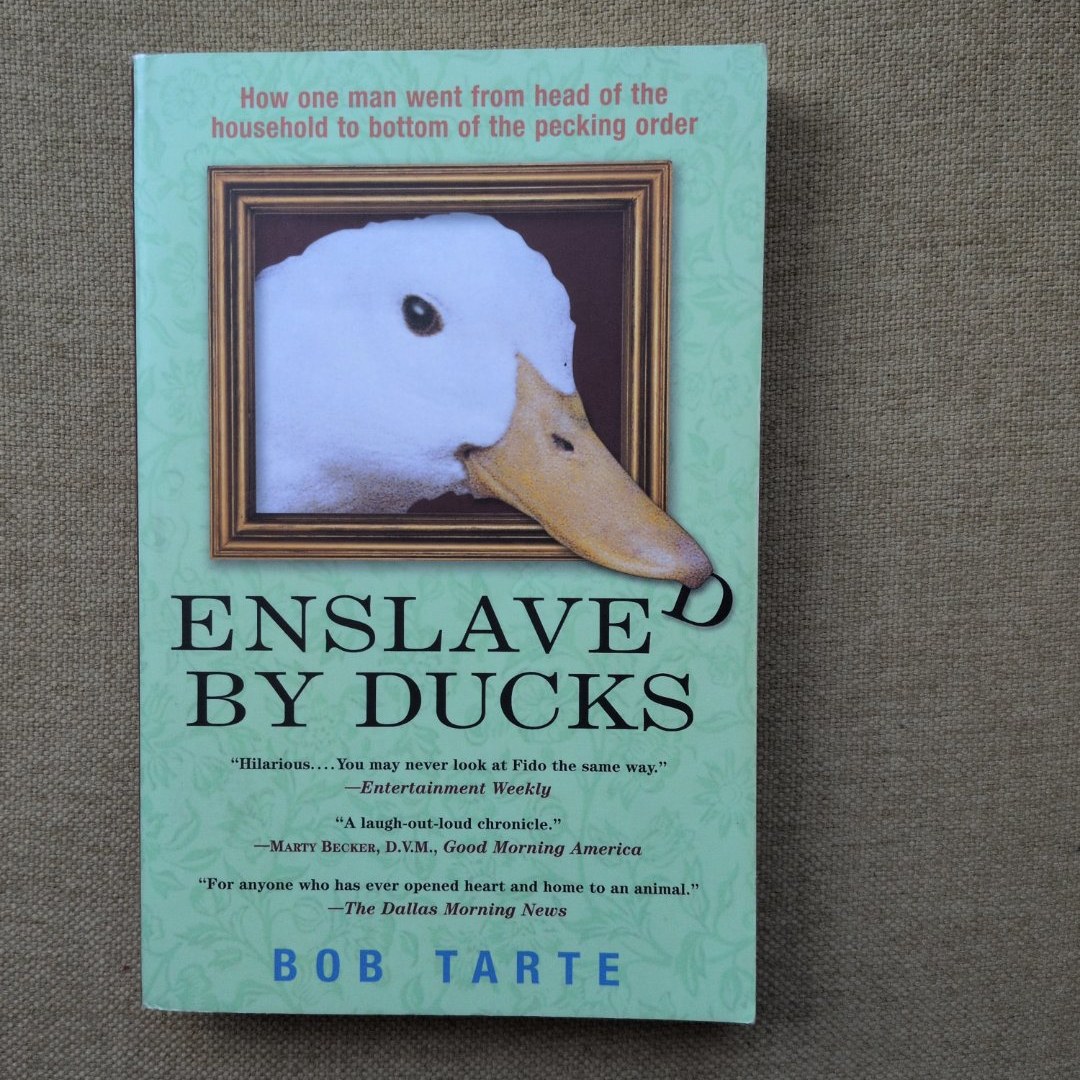 Enslaved by Ducks