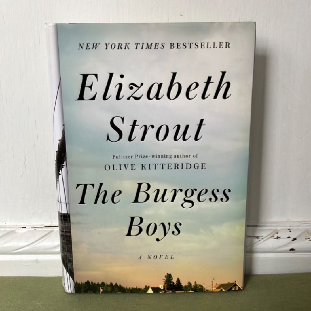 The Burgess Boys