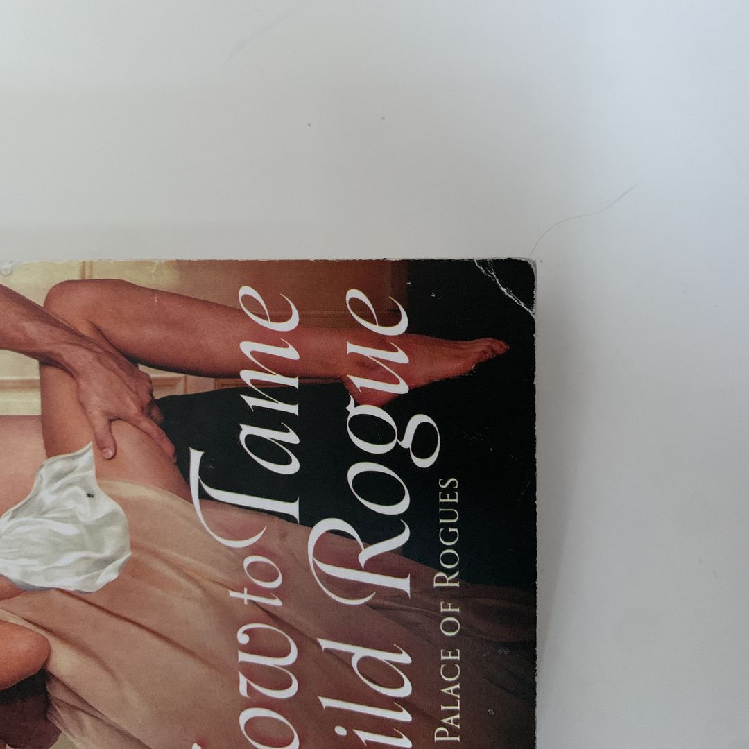 How to Tame a Wild Rogue