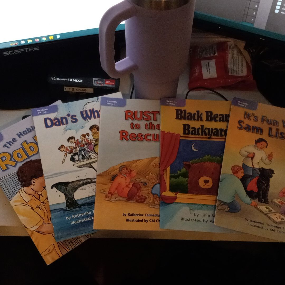 Various realistic fiction 