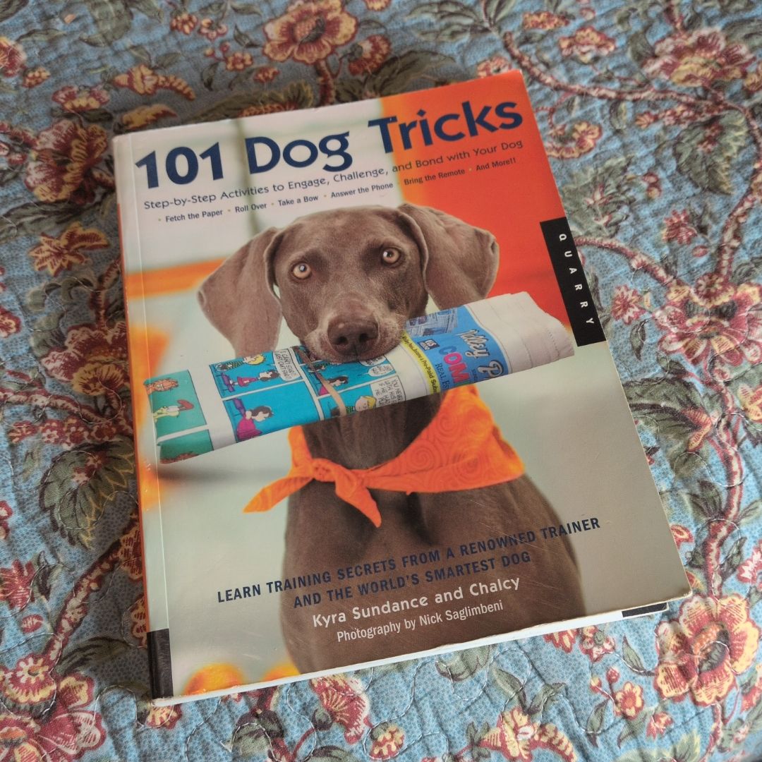101 Dog Tricks