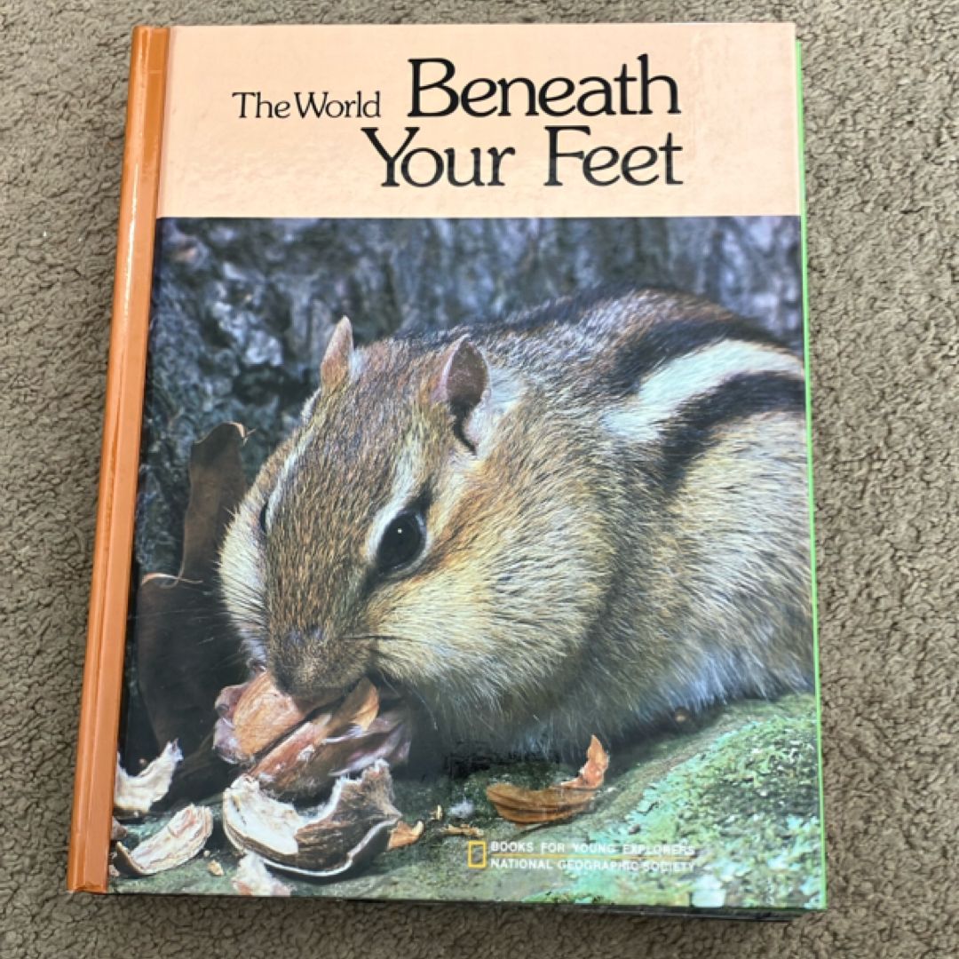 The World Beneath Your Feet