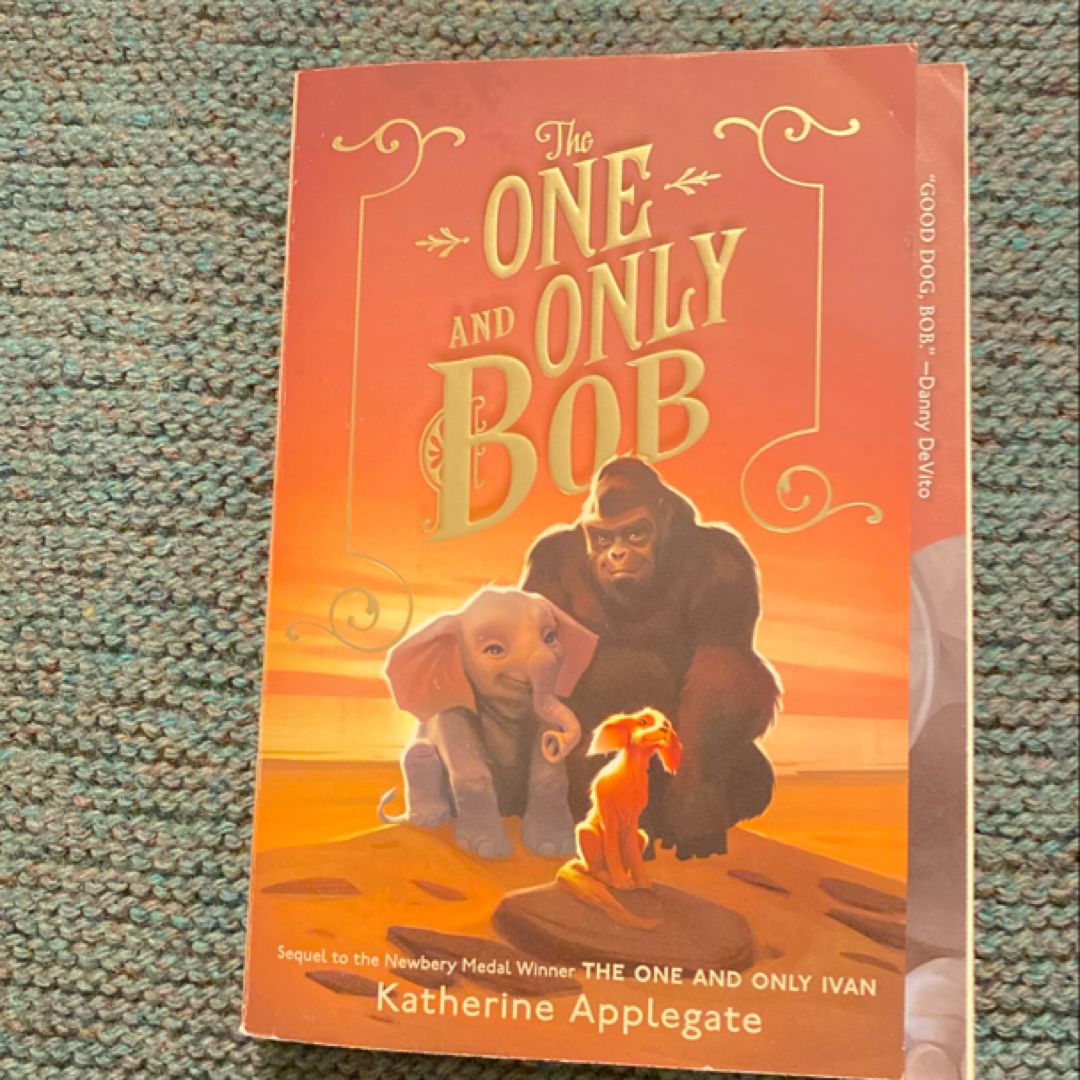 The One and Only Bob