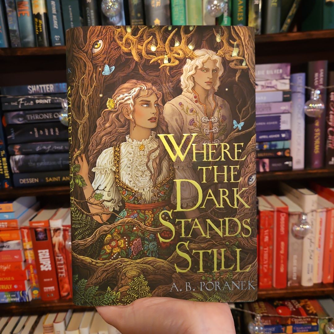 Where the Dark Stands Still