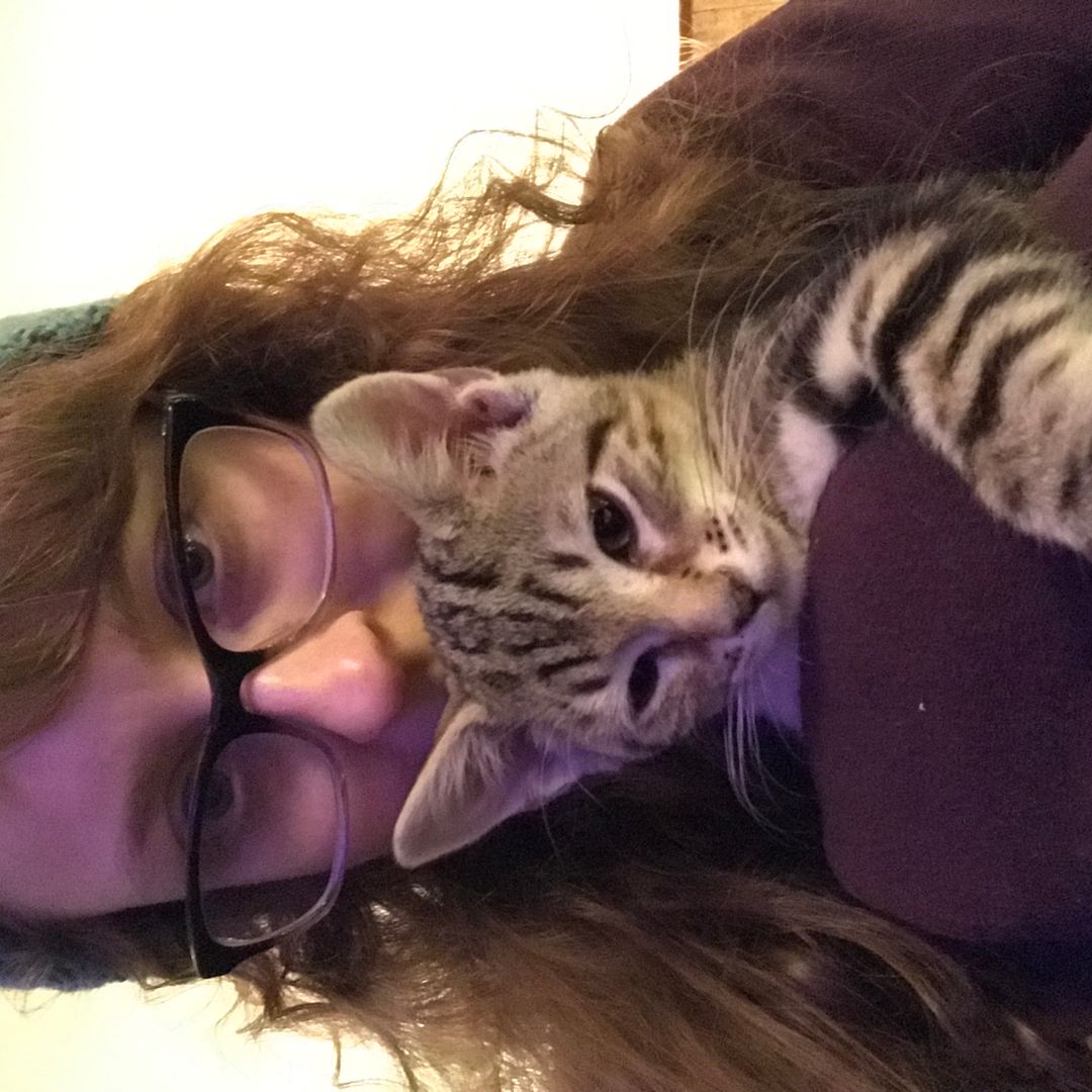 Cat Lady’s Books