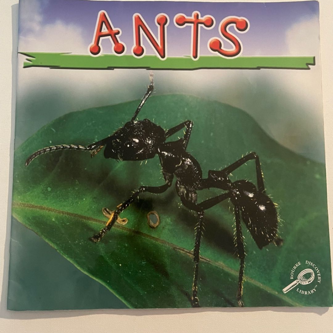 Ants