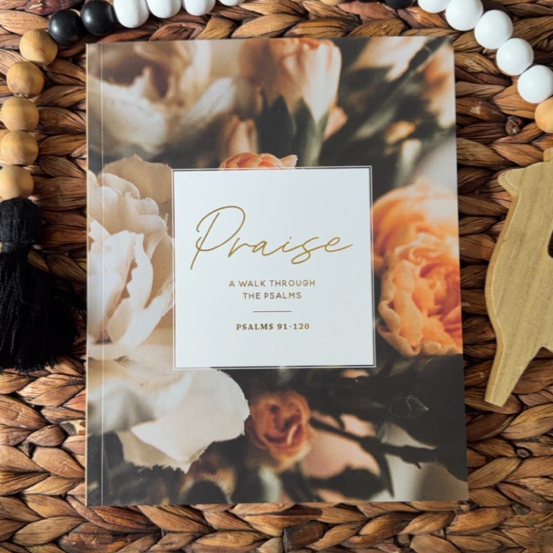 Praise - a Study on Psalms (91-120)
