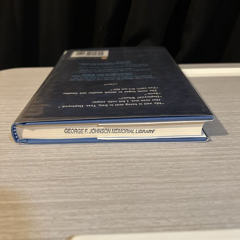 Soldier Sister, Fly Home