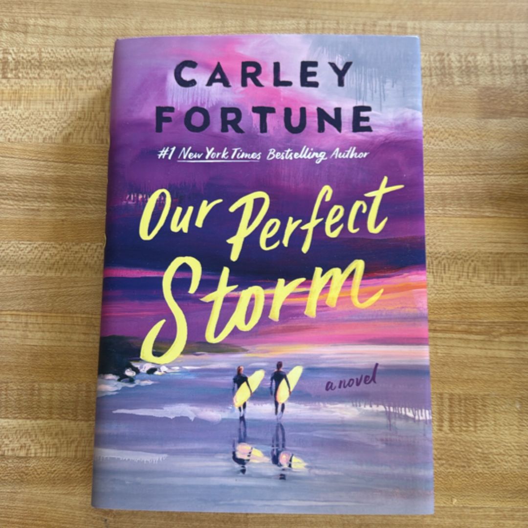 Our Perfect Storm
